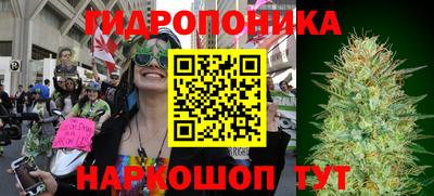 мдпв Кандалакша