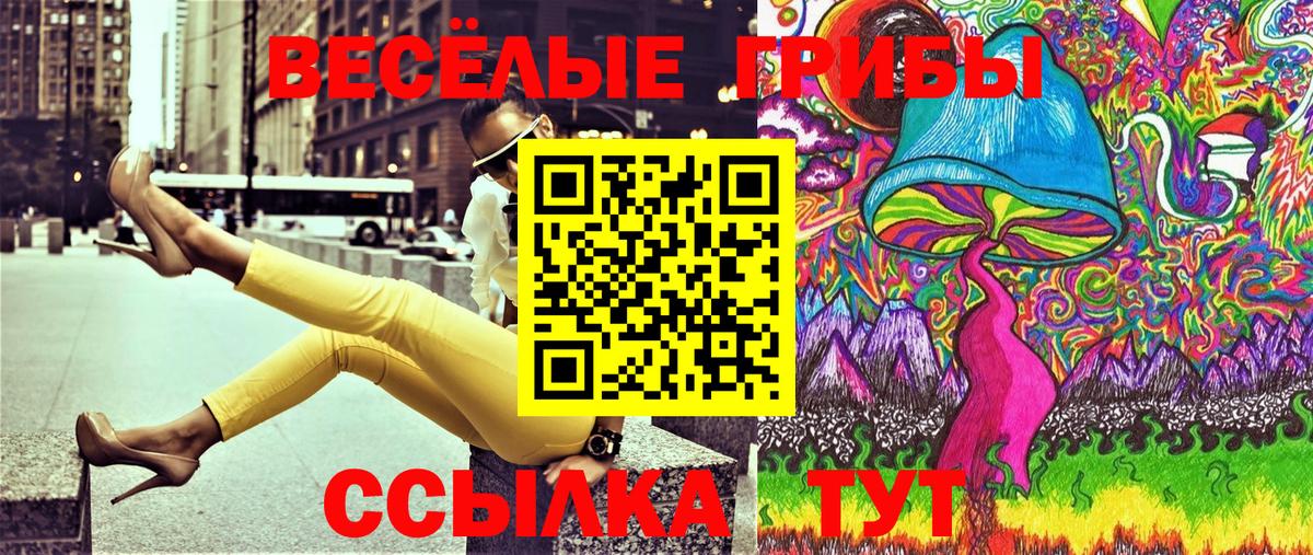 Зима  Галлюциногенные грибы Psilocybe  где купить наркоту  Вход с VPN 