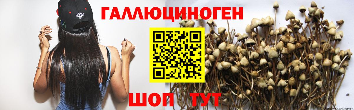 Галлюциногенные грибы мицелий Зима